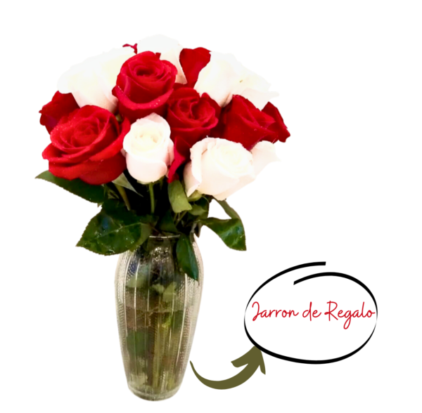 Hermosas rosas frescas, blancas y rojas con obsequio de jarron de vidrio